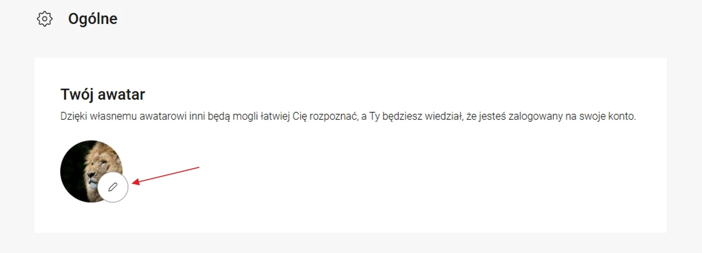 Profil użytkownika z awatarem lwa oraz ikoną edycji wskazującą możliwość zmiany zdjęcia.
