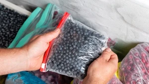 Jak mrozić borówki? Przez ten błąd często stają się zamrożoną bryłą, a można tego uniknąć.
