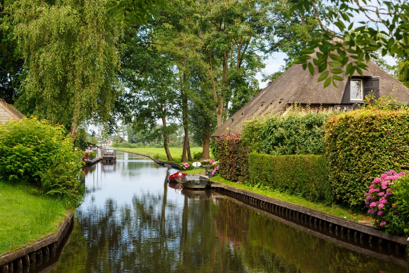 Giethoorn zachwyca malowniczymi widokami, drewnianymi mostkami oraz wyjątkowymi domami Kanał wodny otoczony zielonymi krzewami i kwitnącymi różowymi hortensjami, po lewej i w głębi tradycyjne domy kryte strzechą, na wodzie zacumowana łódź.