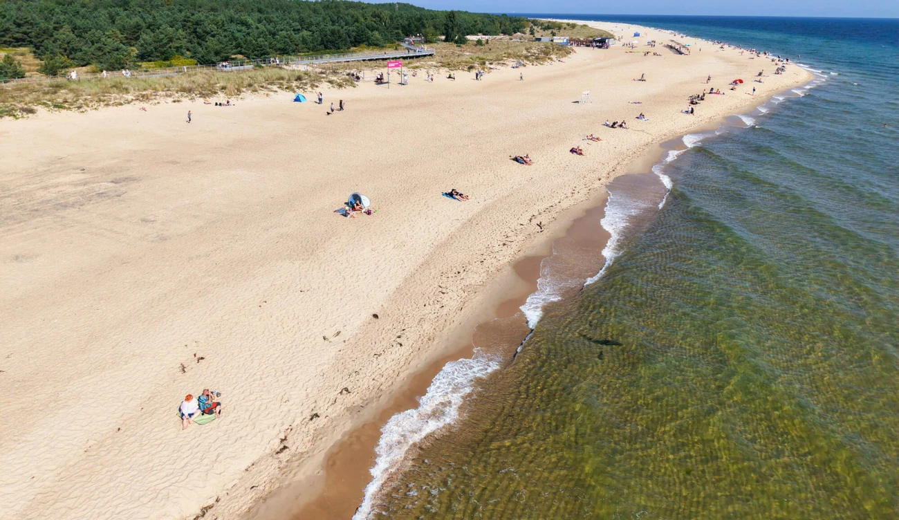 Czy meduzy nad Bałtykiem są groźne? Piaszczysta plaża nad Bałtykiem z kilkoma plażowiczami, las w tle, spokojne morze i czysta woda.