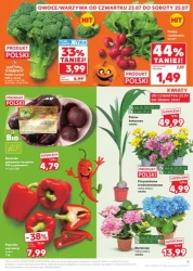 Tygodniowe hity cenowe  Kaufland 
