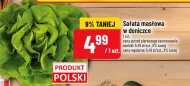 Sałata masłowa Polski