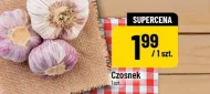 Czosnek