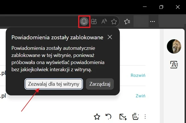 Okno przeglądarki z komunikatem o zablokowanych powiadomieniach i dwoma przyciskami: 'Zezwalaj dla tej witryny' oraz 'Zarządzaj', z czerwoną ramką wokół ikony powiadomień i strzałką wskazującą przycisk 'Zezwalaj dla tej witryny'.