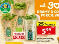 Mięta Pewni Dobrego