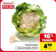 Kalafior Polski