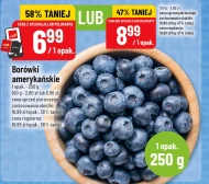 Borówki amerykańskie