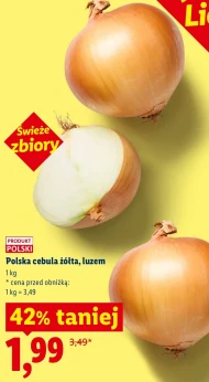 Cebula Polski