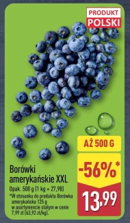 Borówka amerykańska