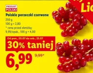 Porzeczki