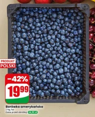 Borówka amerykańska Polski