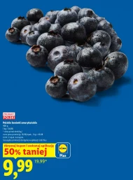 Borówki amerykańskie Polski