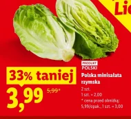 Sałata rzymska Polski