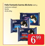 Karma dla kota Nestle
