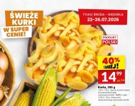 Kurki