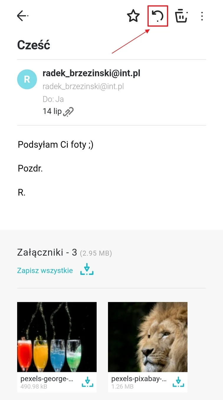 Wiadomość mailowa z krótkim tekstem oraz załącznikami w postaci dwóch zdjęć – kolorowych napojów i głowy lwa.