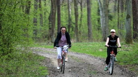 Puszcza Niepołomicka to świetny pomysł na wycieczkę niedaleko Krakowa. Sprawdzi się na spokojny spacer i wycieczkę rowerową. 