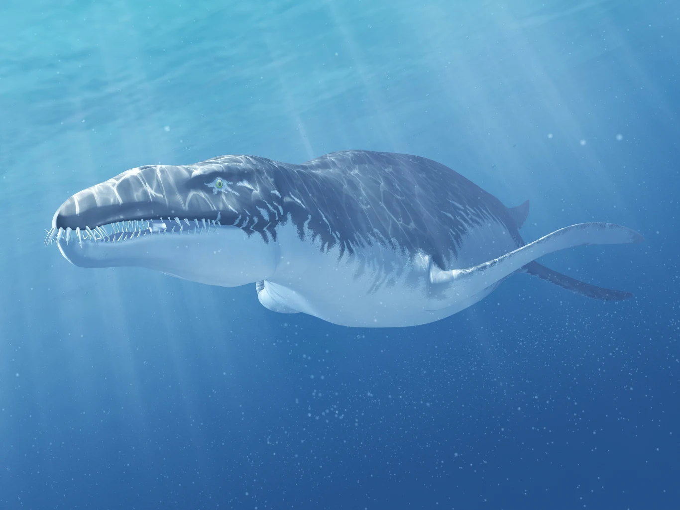 Liopleurodon był oceanicznym monstrum. Jednym z największych drapieżników oceanów Liopleurodon o masywnym ciele i szerokiej paszczy płynie w przejrzystych wodach oceanu pod promieniami słońca.