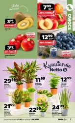 Zakupy, które się opłacają - Netto