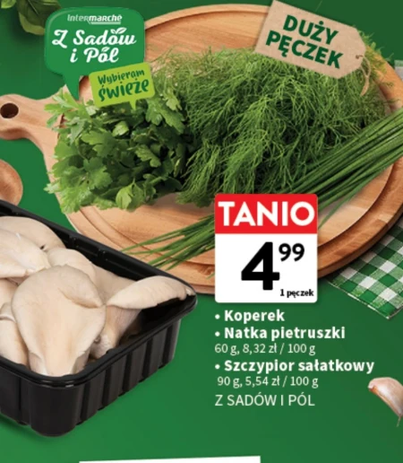 Петрушка Z Sadów i Pól