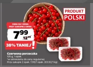 Czerwona porzeczka Polski