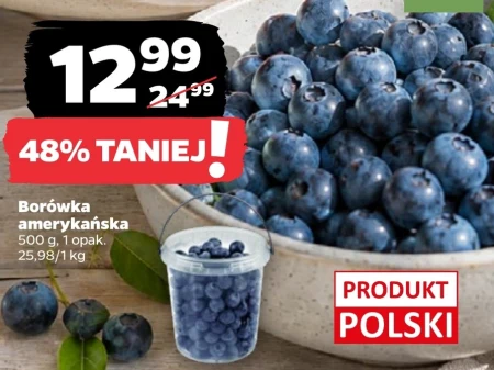 Чорниця Polski