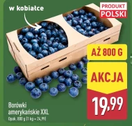 Borówki amerykańskie Polski