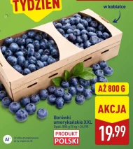 Borówki amerykańskie Polski