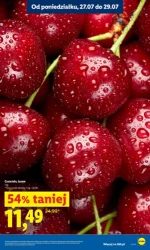 Tysiąc produktów taniej w tym tygodniu - Lidl