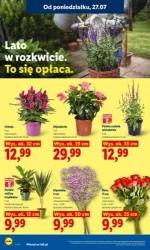 Tysiąc produktów taniej w tym tygodniu - Lidl