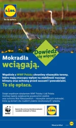 Sprzęt na każdą kieszeń - Lidl