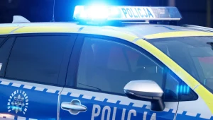 41-latek trafiony z pędzącego samochodu, akcja płockiej policji. (zdjęcie ilustracyjne)