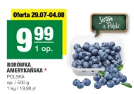 Borówka amerykańska Polski
