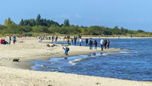 Ile kosztuje bałtyckie złoto? Cena bursztynu z owadem może zaskoczyć