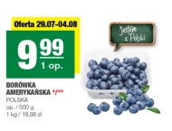 Borówka amerykańska Polski