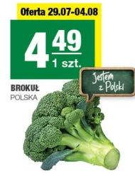 Brokuł
