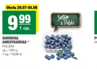 Borówka amerykańska Polski
