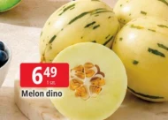 Melon Dino