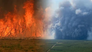Ekstremalne zjawisko we Francji, eksperci ostrzegają. "Smok ziejący ogniem"