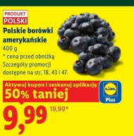 Чорниця Polski