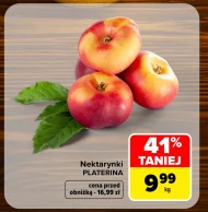 Nektarynki Platerina