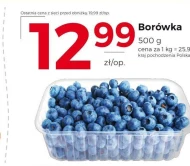Borówka amerykańska