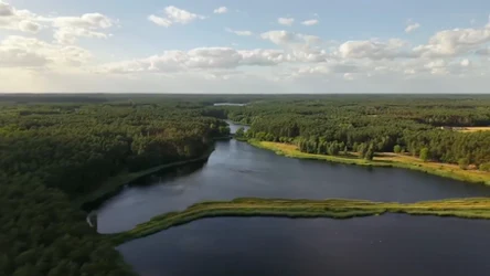 Czysta Polska - odcinek 273