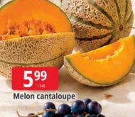 Диня Cantaloupe