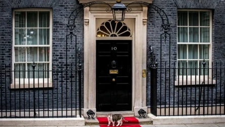 Dlaczego pies Andiego Burhama nie może zamieszkać przy Downing Street 10? Premier wyjaśnił swoją decyzję