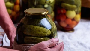 Po tylu dniach można już jeść ogórki kiszone. Będą idealnie chrupać