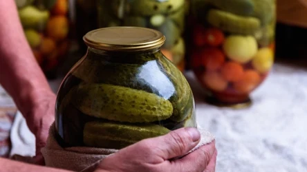 Nie wszyscy wiedzą, że ogórki kiszone można jeść już po kilku dniach. Mają ciekawy smak i przyjemnie chrupią