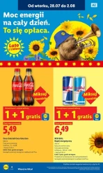 PolandRock - Lidl