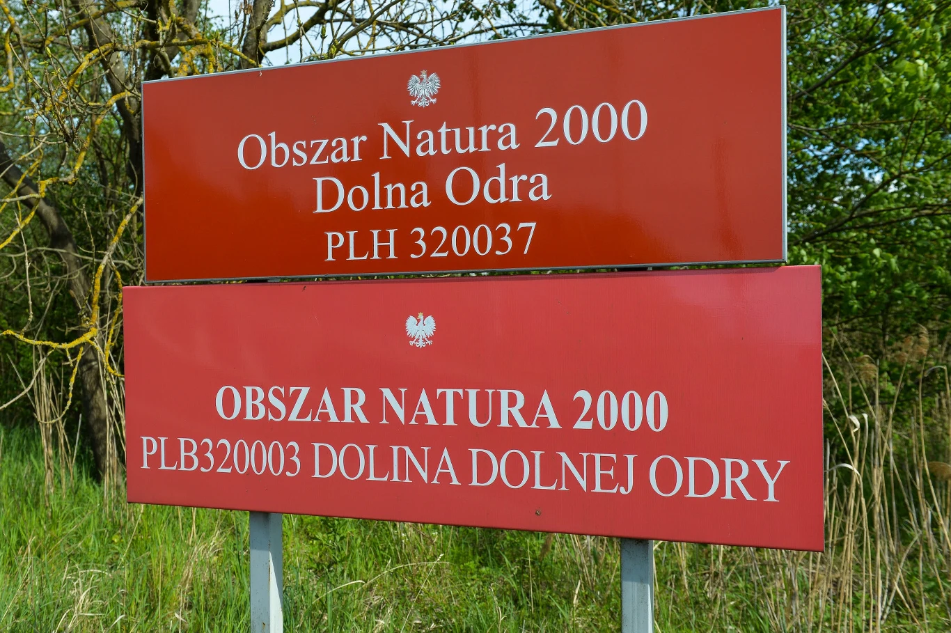 Czerwone tablice informacyjne z białym godłem Polski i napisem Obszar Natura 2000 Dolna Odra oraz PLB320003 Dolina Dolnej Odry, umieszczone na tle zielonej roślinności.