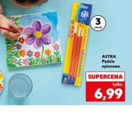 Etui na pędzle Astra